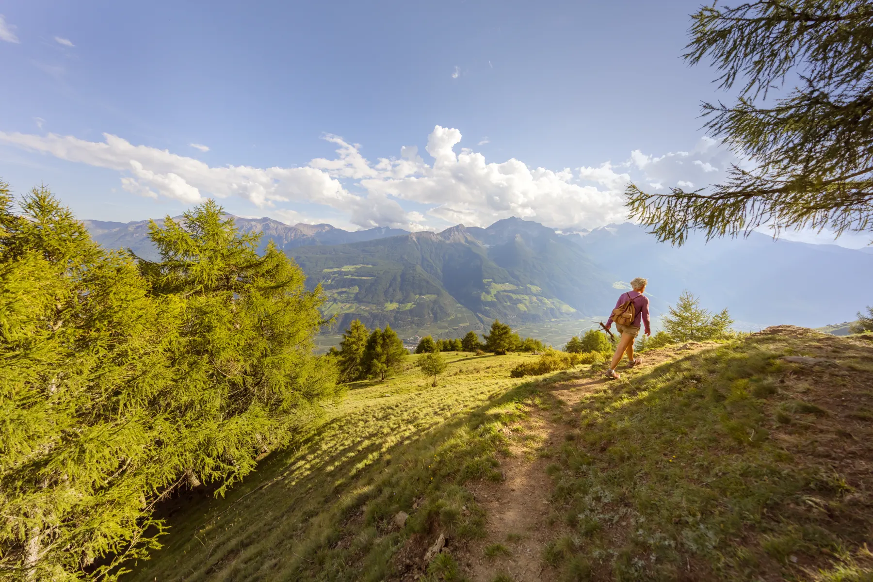 Wandern am Sonnenberg im Vinschgau